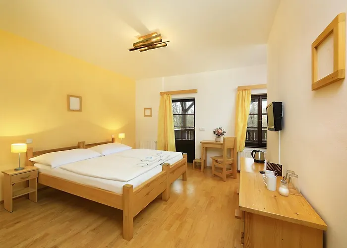 Hotel Garni Mysi Dira 3*