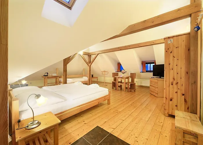 Hotel Garni Mysi Dira 3*