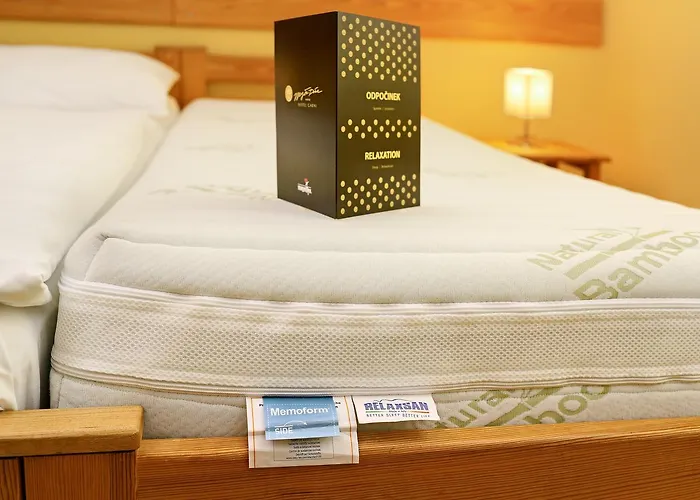 Hotel Garni Mysi Dira Czeski Krumlow